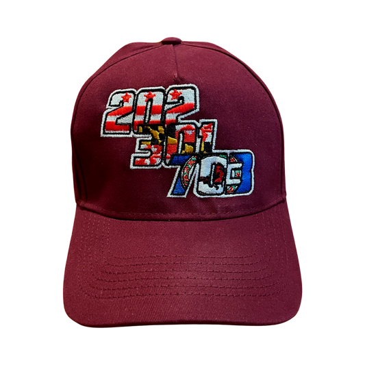 DMV Burgundy Dad Hat