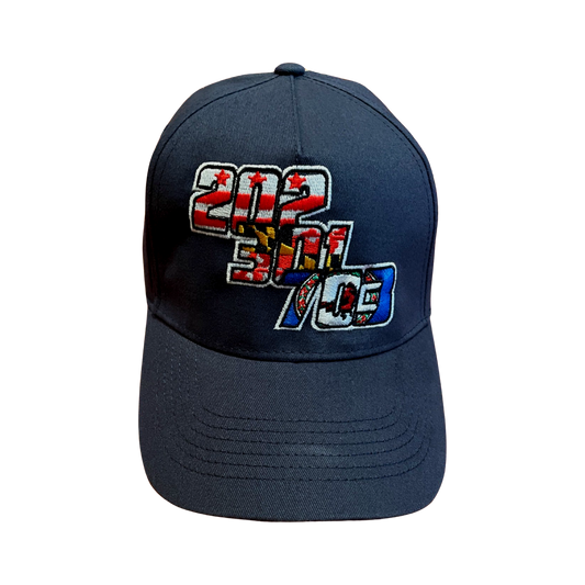 DMV Navy Dad Hat